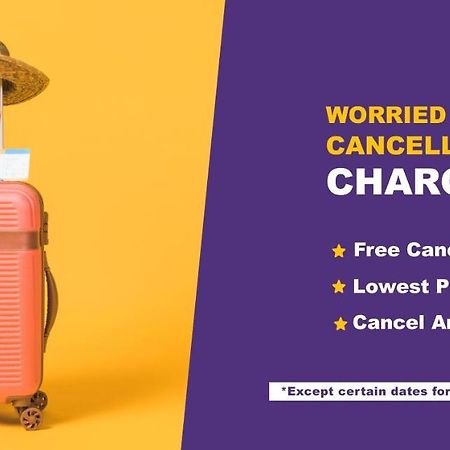 达兰萨拉 Treebo Trend Gk Conifer酒店 外观 照片